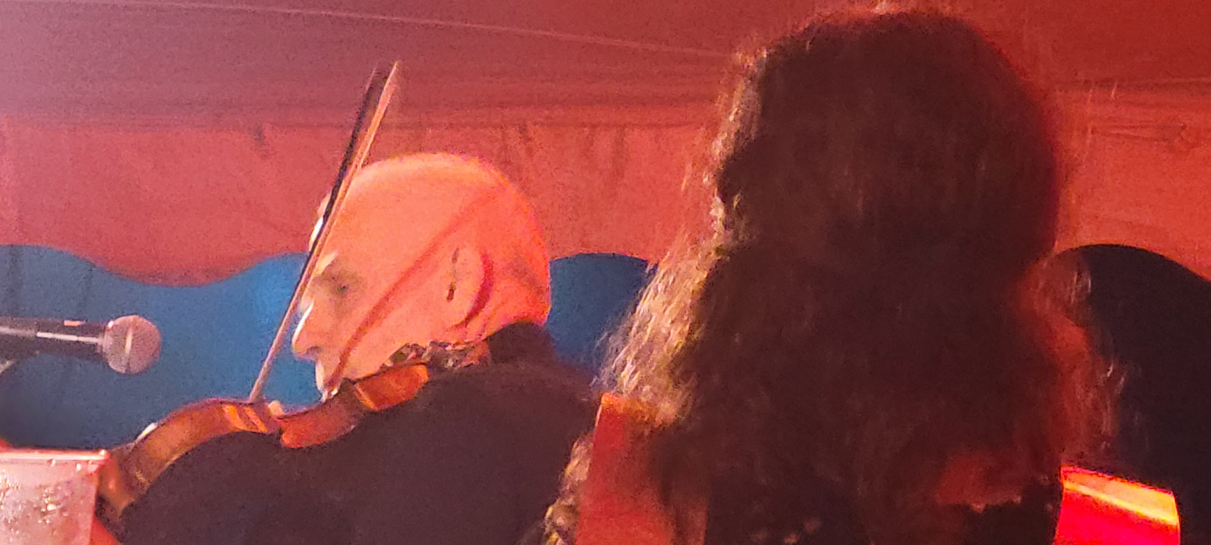 DonnaTheBuffalo2024-08-15GreenMountainBluegrassAndRootsFestivalManchesterVT (6).jpg